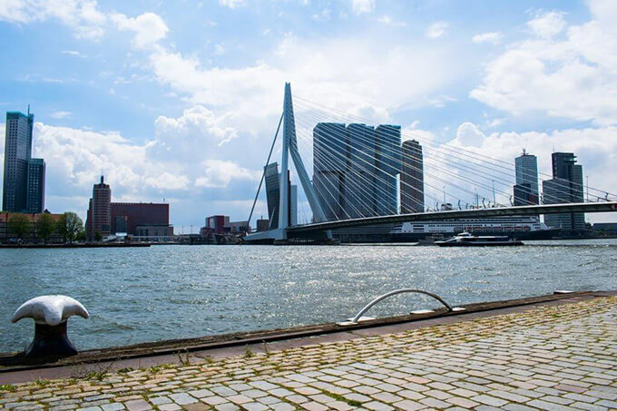 image with view to the Erasmus bridge in Rotterdam