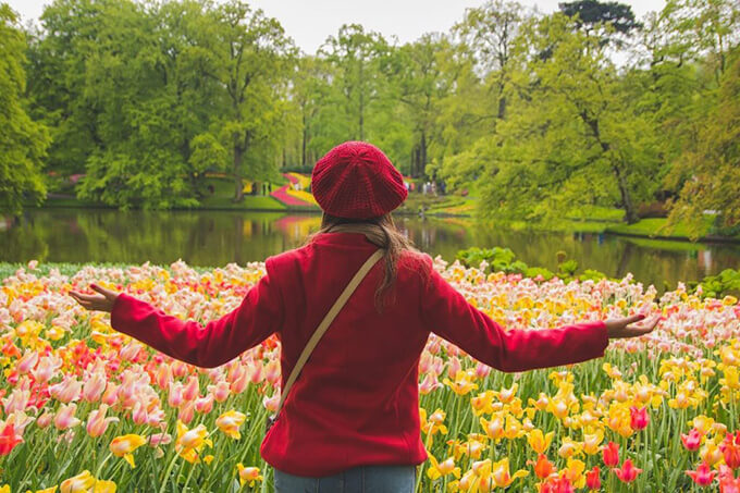Imagem of Woman standing between the tulips in the keukenhof.