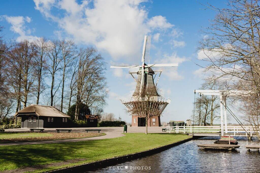 Image of a windmill close by the keukenhof park