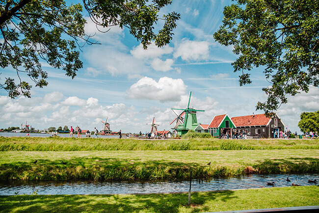 Image of green field landscape in Zaanse Schans