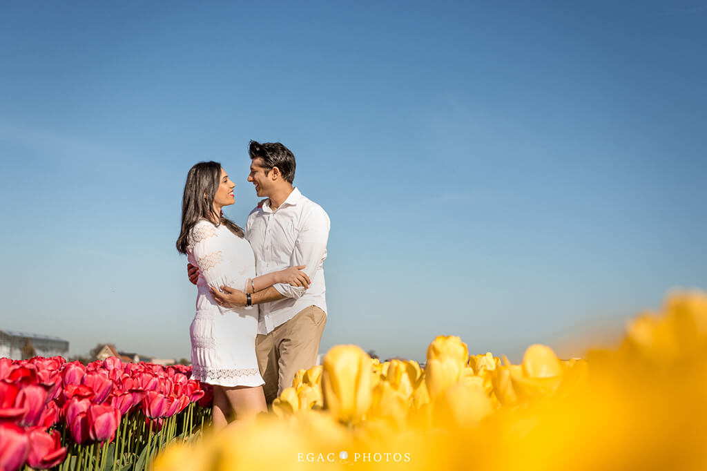 Image of tour in the tulip fields